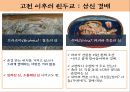 힌두교의 기원,근대의 힌두교 ppt자료 8페이지