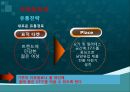 17차마케팅,17차 웰빙건강음료 ppt자료 11페이지