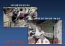 SSM이란-브랜드 슈퍼,기업형 슈퍼,SSM 규제 상생법 개정안 국회 통과,기업의 사회적 책임 12페이지