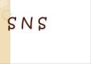 SNS,SNS정의,SNS개념,SNS기능,SNS장점,SNS단점,SNS기대효과 레포트 1페이지