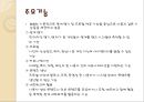 SNS,SNS정의,SNS개념,SNS기능,SNS장점,SNS단점,SNS기대효과 레포트 3페이지