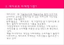데카르트 마케팅이란_인터넷 마케팅 4페이지