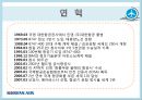 대한항공 (대한항공의 연혁, 대한항공의 조직구조, 조직구조의 문제점, 문제점에 따른 개선방안).PPT자료 4페이지