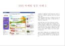 [SNS_마케팅]성공사례,마케팅,브랜드,브랜드마케팅,기업,서비스마케팅,글로벌,경영,시장,사례,swot,stp,4p 10페이지