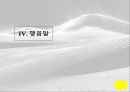SILK ROAD_실크로드란,실크로드의  역사, 16페이지