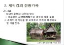 뉴기니의 세픽강 주거형태_주거문화,주거형태,파푸아뉴기니의 세픽강,하우스탐바란 6페이지