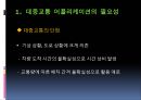 대중교통어플_애플리캐이션,마케팅,브랜드,브랜드마케팅,기업,서비스마케팅,글로벌,경영,시장,사례,swot,stp,4p 5페이지
