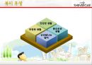 신세계 백화점 기업분석 61페이지