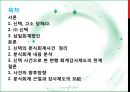 신텍의 분식회계 관련 이슈  2페이지
