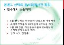 신텍의 분식회계 관련 이슈  10페이지