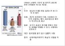 사형제도, 어떻게 볼 것인가 17페이지