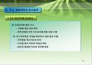 회계 감사의 과정과 감리지적 사례  16페이지