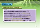 회계 감사의 과정과 감리지적 사례  23페이지