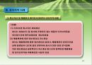 회계 감사의 과정과 감리지적 사례  24페이지