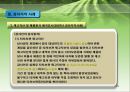 회계 감사의 과정과 감리지적 사례  25페이지