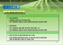 회계 감사의 과정과 감리지적 사례  35페이지