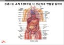 SK엔카 - 신사업 개발 및 성장 스토리 50페이지
