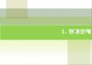 지구환경문제와 탄소배출  3페이지