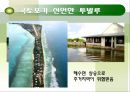 지구환경문제와 탄소배출  4페이지