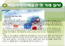 지구환경문제와 탄소배출  16페이지