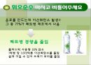 지구환경문제와 탄소배출  19페이지