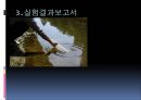 [환경기기분석-PBL 과제] 중량천 집단폐사 사건 .pptx 6페이지