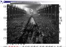 히틀러의 성격분석  19페이지