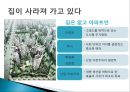 건축, 우리의 자화상 .pptx 6페이지