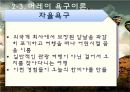 한비야 성격 분석  12페이지