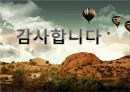 한비야 성격 분석  33페이지