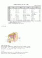 전립선 암(Prostate Cancer)에 대한 케이스 스터디 (Case Study) 입니다 - 의학적진단명 :  Malignant neoplasm of prostate 전립선 악성 신생물 종양 3페이지