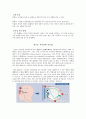 빛과 조명 -스마트빌딩 수업 -시각장애, 시각장애 치료법 4페이지