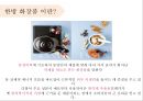 한방 화장품 시장현황과 효능 (한방 화장품, 한방 화장품 시장 현황, 한방화장품).pptx
 3페이지