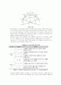 도로경관의 이해 19페이지