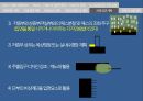 호텔 및 W 호텔 조사 22페이지