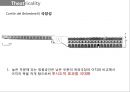 벨베데레 궁전 11페이지