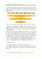 주요항공사(케세이퍼시픽,대한항공,중국남방항공,에미레이트,루프트한자) 경영전략과 글로벌 물류전략분석및 향후전망 분석 53페이지