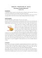 ((영어,영문 에세이 Shot Essay)) 던킨도너츠 DUNKIN DONUTS - Marketing Mix 4P (Product) 1페이지