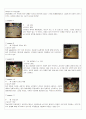 심리상담 치료 기법 중 모래놀이 치료의 개념 및 실제연구사례 - 모래놀이치료 (모래놀이치료의 개념·발달배경·치료적 가치, 모래놀이 치료실과 치료도구, 치료자의 역할, 모래놀이 치료의 실제와 연구 사례)

 15페이지