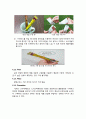 남양유업의 의 전략적 분석 및 지속적 성장을 위한 마케팅 전략 제안  14페이지