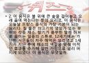프랑스의 음식 문화  41페이지