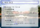 한국의 리조트 산업  19페이지