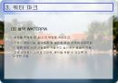 한국의 리조트 산업  26페이지