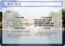 한국의 리조트 산업  28페이지