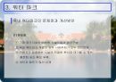 한국의 리조트 산업  29페이지