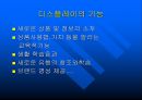 디스플레이와 상품연출 5페이지