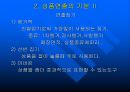 디스플레이와 상품연출 19페이지