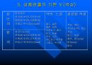 디스플레이와 상품연출 24페이지