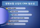 ING생명과 삼성생명의 CRM분석 3페이지