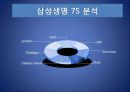 ING생명과 삼성생명의 CRM분석 17페이지